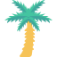 Coconut tree icon 64x64