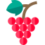 Grapes icon 64x64