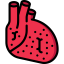 Heart ícone 64x64