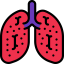 Lung cancer ícone 64x64