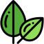 Leaf 图标 64x64