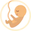 Embryo icon 64x64