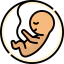 Embryo icon 64x64