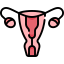 Uterus icon 64x64