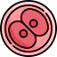 Ovum icon 64x64