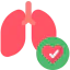 Lungs icon 64x64