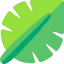 Leaf 图标 64x64