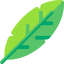 Leaf 图标 64x64