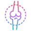 Bone icon 64x64