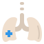 Lungs 상 64x64