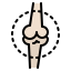 Bone icon 64x64