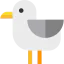 Seagull icon 64x64