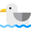 Seagull icon 64x64
