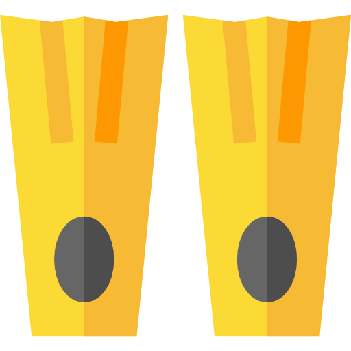 Flippers icon