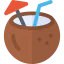 Coconut 图标 64x64