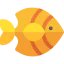 Fish 상 64x64