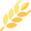 Wheat іконка 64x64
