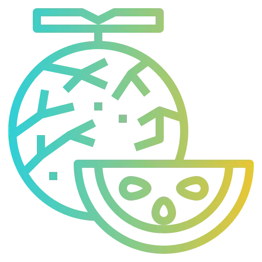Melon icon