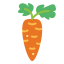 Carrot icône 64x64