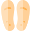 Insoles icon 64x64