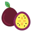 Passion fruit icône 64x64