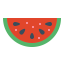 Watermelon icône 64x64