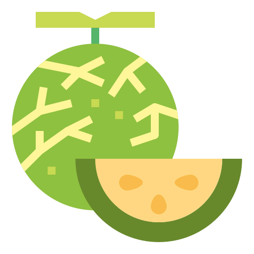 Melon icon