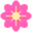 Flower icon 64x64
