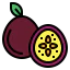 Passion fruit icône 64x64