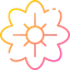 Flower 图标 64x64