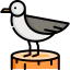 Seagull Symbol 64x64