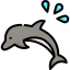 Dolphin biểu tượng 64x64