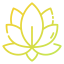 Lotus icon 64x64