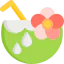 Coconut 图标 64x64