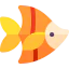 Fish 상 64x64