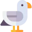 Seagull 상 64x64