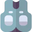 Vest ícono 64x64