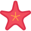 Starfish icône 64x64