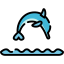 Dolphin 图标 64x64