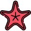 Starfish 图标 64x64