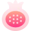 Pomegranate icon 64x64