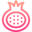 Pomegranate icon 64x64