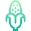 Corn icon 64x64