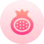 Pomegranate 图标 64x64