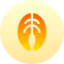 Salmon 图标 64x64