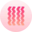 Bacon 图标 64x64