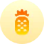 Pineapple 图标 64x64