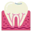 Tooth アイコン 64x64