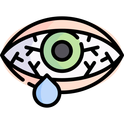 Conjunctivitis icon