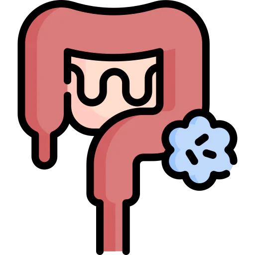 Bowels icon